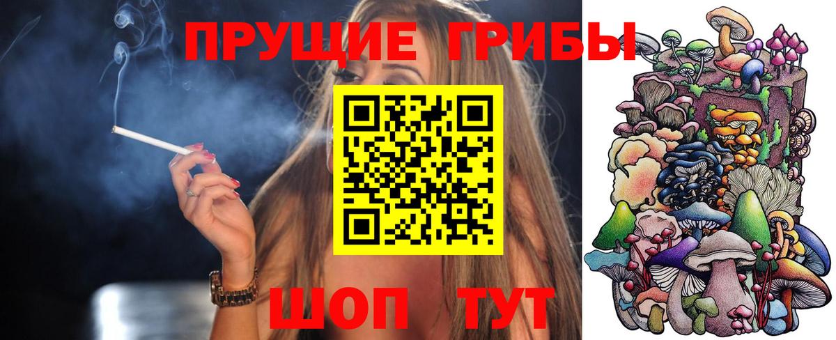 Псилоцибиновые грибы Psilocybe  Вход с VPN  наркошоп  Ливны 